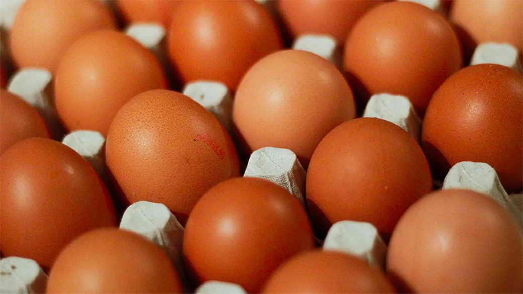 Минсельхоз заверил в достаточном объеме производства яиц для обеспечения рынка