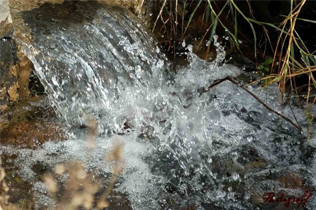 Родниковая вода полезна и безопасна