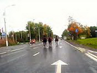 В Кемеровском районе по трассе бегала лошадь