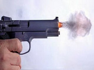 В Кемеровском районе полицейские применили табельное оружие для задержания правонарушителя