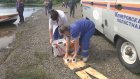 Учения по спасению людей на воде состоялись в Мариинском районе