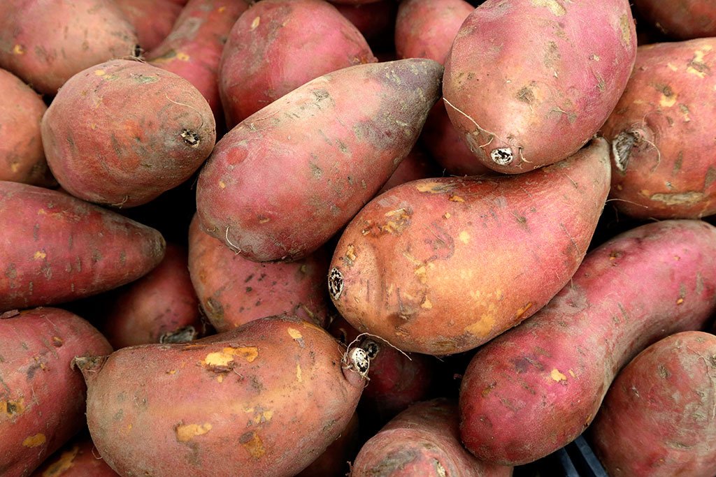 Минсельхоз рассказал о мерах по предотвращению дефицита картофеля