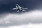 Эксперт объяснил удары американского крейсера по F-18 США