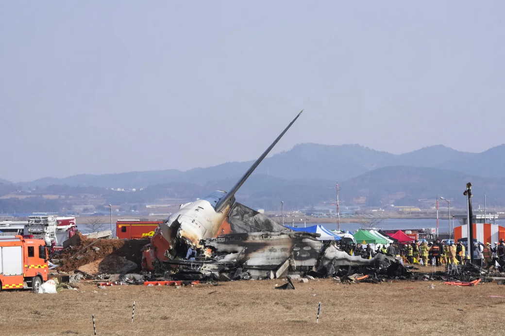 В двигателях разбившегося в Южной Корее самолета Jeju Air обнаружены перья