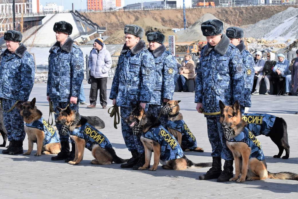 Первый в России торжественный марш служебных собак прошел в Кемерове Первый в России торжественный марш служебных собак прошел в Кемерове