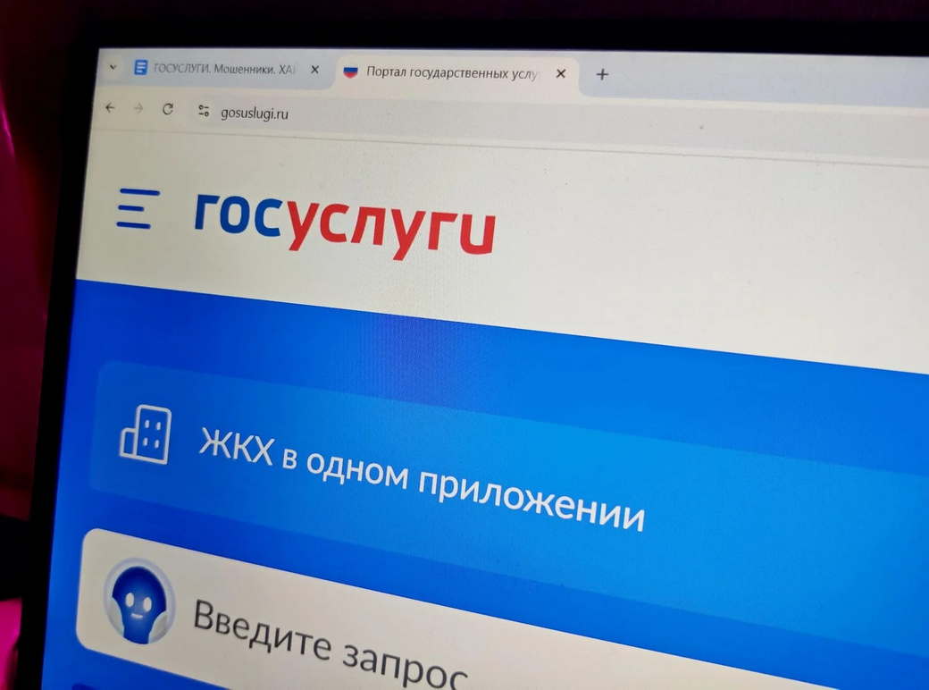На «Госуслугах» создадут «цифровой профиль» россиян: что это На «Госуслугах» создадут «цифровой профиль» россиян: что это