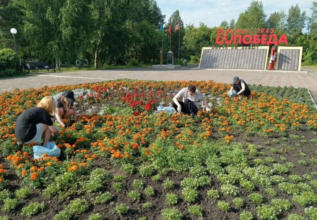 За лето в Кузбассе поработали более 30 тысяч школьников и студентов За лето в Кузбассе поработали более 30 тысяч школьников и студентов