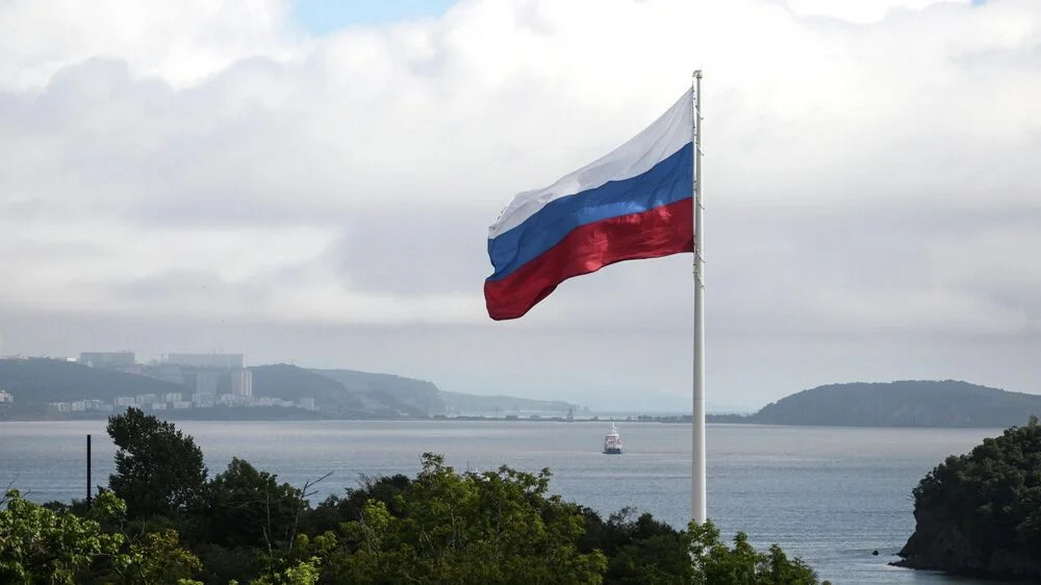 Украинский постпред признал тактику России блестящей