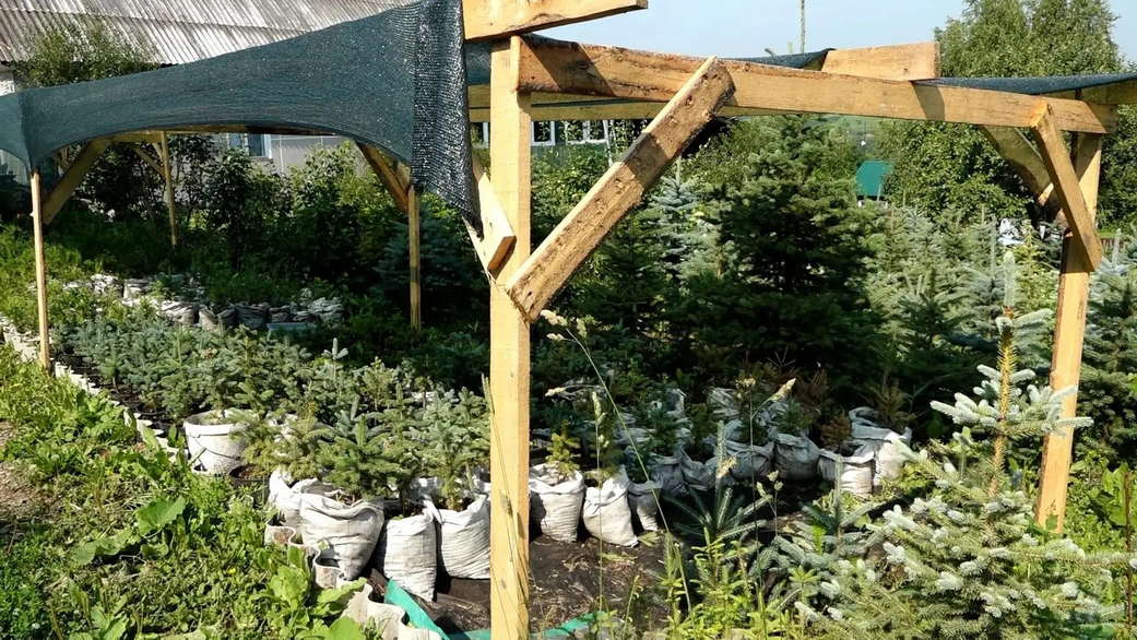 Социальный контракт в нынешнем году уже помог 62 кузбасским ветеранам СВО открыть свое дело