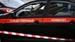 СК возбудил уголовное дело по факту смерти ученого Зезина после избиения