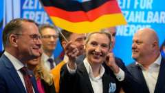 Эксперт объяснил заявление Вайдель о выходе Германии из еврозоны