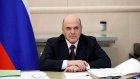 Мишустин поручил продумать меры по защите «мозгов»
