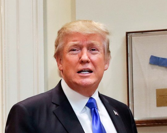 Юристы Трампа проверят проверяющих Трампа юристов